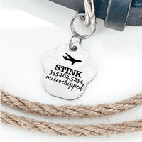 Thumbnail for Silver pawprint shaped pet tag joined to collar by two jump rings. Tag has a plane, animal name, phone number and 