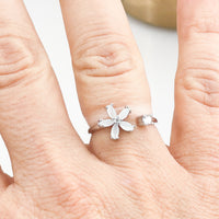 Thumbnail for The Flower