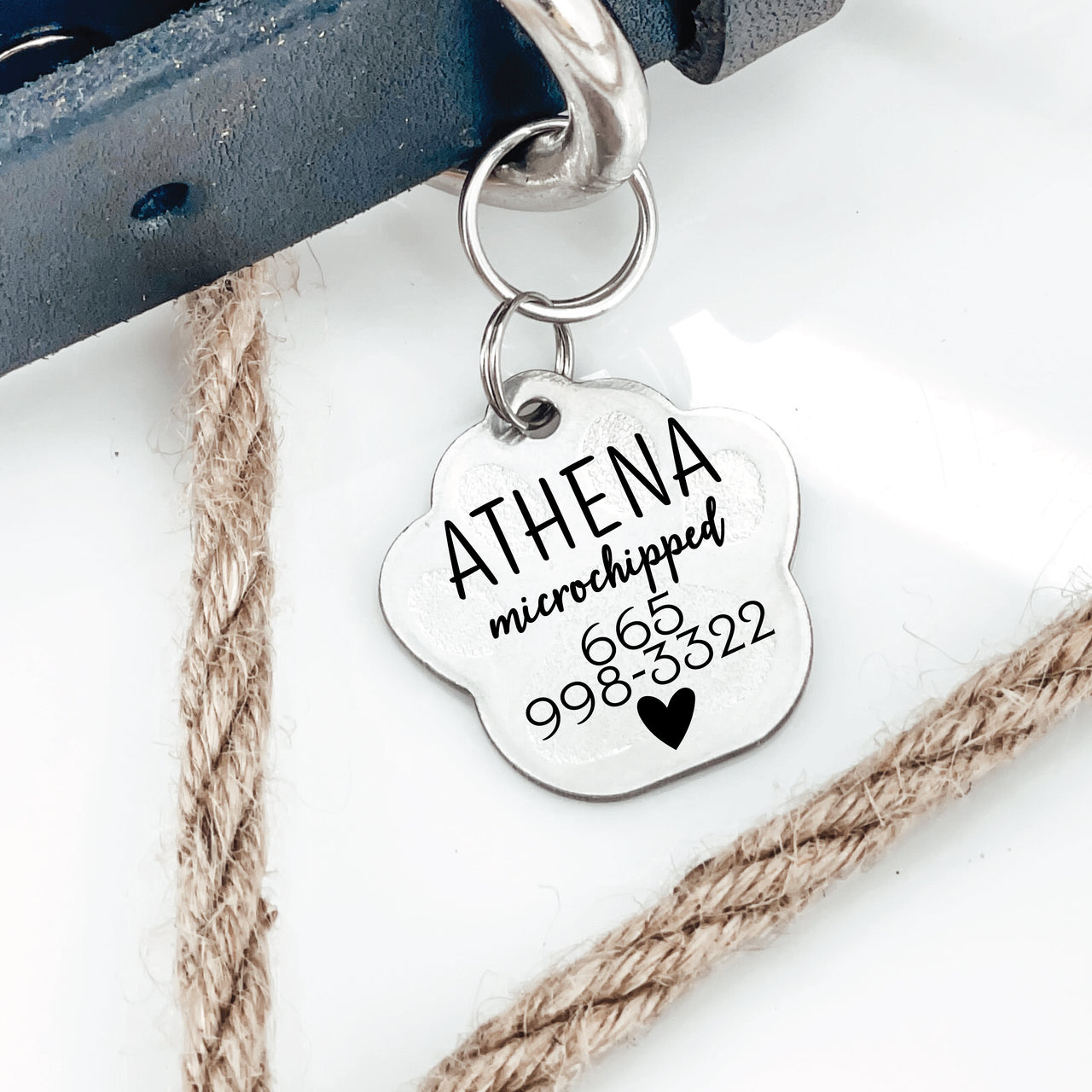 Silver pawprint shaped pet tag joined to collar by two jump rings. Tag has a heart, animal name, phone number and "microchipped" engraved on it.