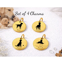 Thumbnail for Mama Dog Charm Set