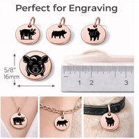 Thumbnail for Farm Pig Charm Set